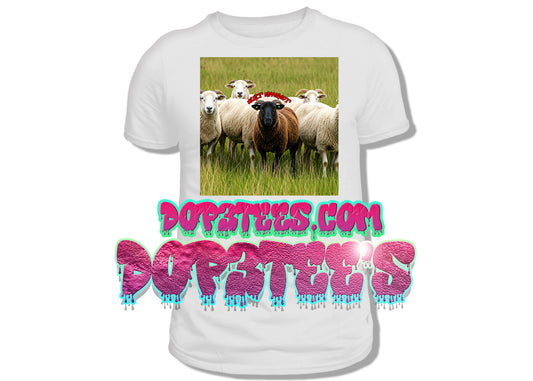Black Sheep built Different